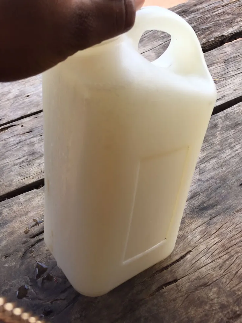 Palm Wine Cocktail, via Wikimedia Commons