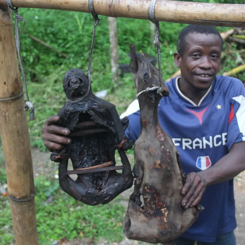 Poulet Moambé (Congo), via Wikimedia Commons