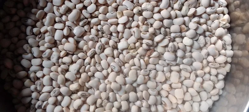 Shahan Ful (Eritrean Spiced Fava Beans), via Wikimedia Commons